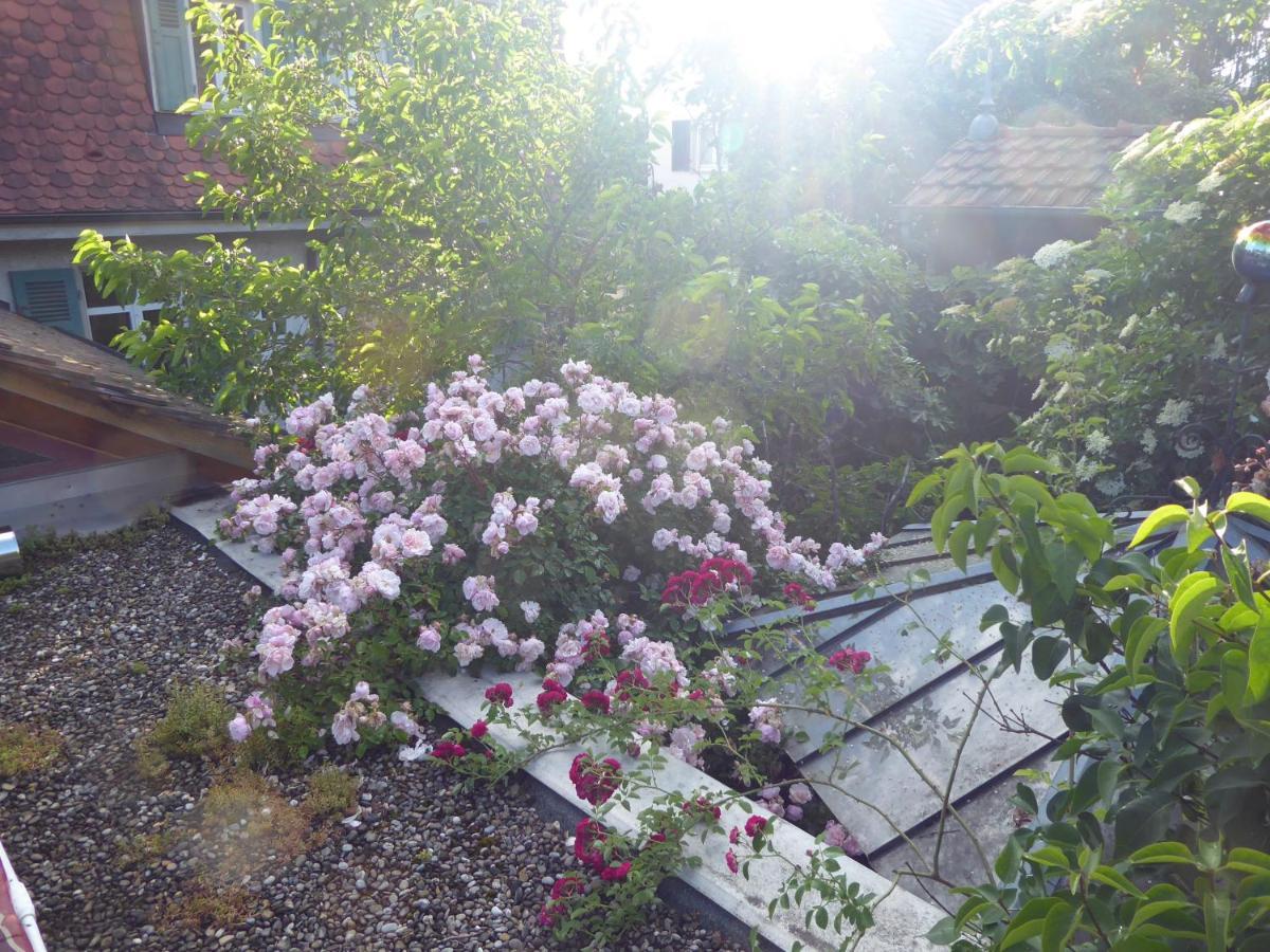 Pension Zur Rose Weil am Rhein Exterior foto